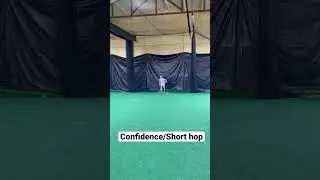 Fielding a short hop with confidence.