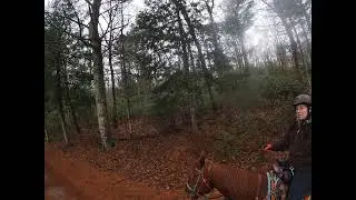 Douglas State Forrest 1 2 2022 # 6