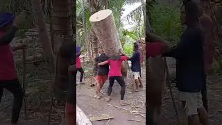#vedioviralreel #highlights  rico ar ar lang malakas #hardwork #wood #shortvideo #youtubeshorts