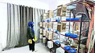 Tour of Female LoveBirds Breeding Setup|| Birds Business for Ladies|| Birds Farming.. Part 2