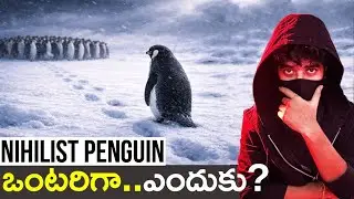 Why Is This Penguin Walking Away Alone? |Nihilist Penguin | viral video  | Telugu | Mana Alochana 