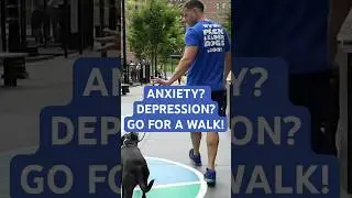 ANXIETY? DEPRESSION? GO FOR A WALK! #dogpsychology #dog #dogs #dogtrainer #nycdogtrainer #newjersey