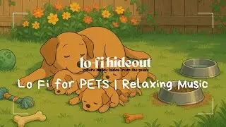 Lo fi for Pets with Anxiety 💤 | Music to Calm Dogs