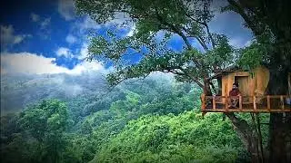 Tree house, Deep inside Bandarban Hilltracks, Bangladesh 