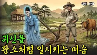 귀신을 황소처럼 일만시키는 머슴  |야담|옛날이야기|사연