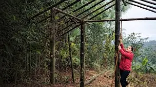 A Single Mother&rsquo;s Journey: From Misfortune to Rebuilding a New Home | Inspiring True Story