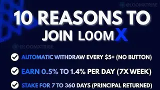 Loom-X Explained for Beginners | AI Arbitrary Trading on a Decentralized Network