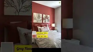 Asian Paints 6 Colour Combination idea For Living Room / Bedroom