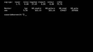 iostat