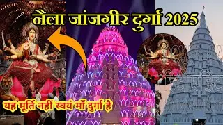 नैला जांजगीर  दुर्गा पंडाल 😱ll 2025 ll Naila Janjgir Durga Pandal 😱 ll Naila Janjgir ll😱