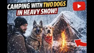 Surviving Heavy Snow Alone with My Two Dogs 🐕🐕  | Extreme Winter Camping