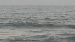 Dramatic Ocean Rescue