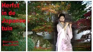 Herfst in de Japanse tuin, Dierenpark Amersfoort