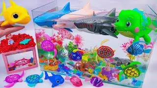 [🐟toy asmr🦈] Baby Shark & Hammer Shark & RC Dolphin & Aquarium Playset ASMR | Satisfying Unboxing