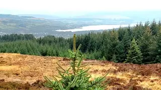 Pappert Hill Walk and Pappert Well. Dumbarton Kilpatrick Hills