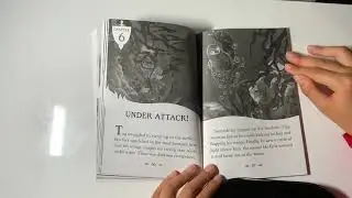 The last firehawk, the silver swamp