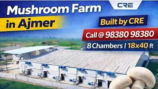 CRE Mushroom Cultivation Project in Ajmer | Official Trailer | CRE Button Mushroom Growing Chambers