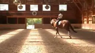 Don Juan de Hus - May 2014