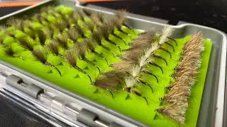 FishPal Lets Go Fishing