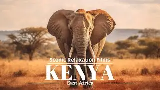 Kenya 4K - Scenic Relaxation Films With African Music