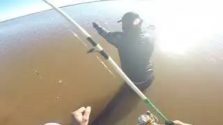 Primeiro pescaria de 2026,muitas corvinas 🎣🎣🙏🏻🙏🏻...