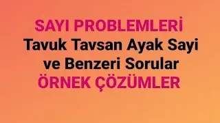 Sayı Problemleri Soru Çözümü 3; Tavuk Tavşan Ayak Sayısı ve Benzeri Sorular