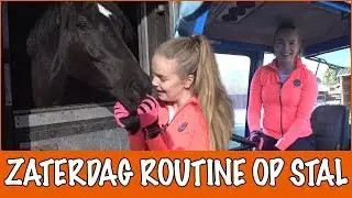 Esra's zaterdagroutine op stal | PaardenpraatTV