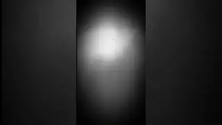 LethalOne&rsquo;s Interactive OctoberFest Finale Teaser 1 By Eddie G