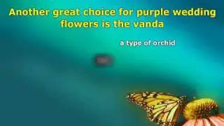 Purple Wedding Flowers