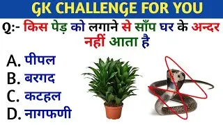 Hindi GK || GK Question || GK  For Kids || General Knowledge || WORLD GK 2023 ||