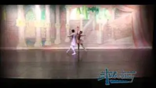 Akari Manabe Ballet Dancer Copyright 2010