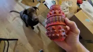 Dog Toy for Aggressive Chewer Medium Large