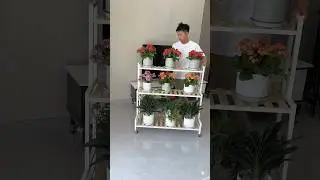 The multi-layer flower stand with wheels is convenient, practical, sturdy and beautiful ❤️😍