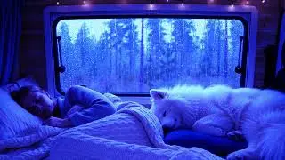 Heavy Rain and Thunder Sounds for Sleeping &ndash; Gentle Night Rain | Calm Mind