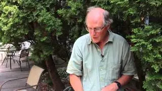 How to deal with wasps in your yard