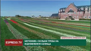 Мотижин: скільки треба на відновлення селища