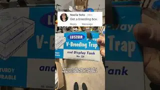 I got a FREE breeding box for my babies!