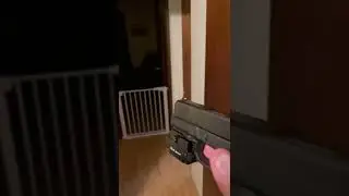 Olight Pl-2 mini on a G43x
