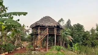 In space Agro tourism || 26 acres multi layer farming land 