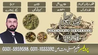 Bho Phalli || بہوپھلی || भुफली || Corchorus Depressus || Mandheri || Ali Dawakhana || 00923015959598