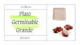 Video Comercial Eco Cups