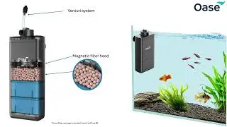 Внутренний фильтр Oase EcoFlow – первоклассная фильтрация для кристально чистых аквариумов | Maid...