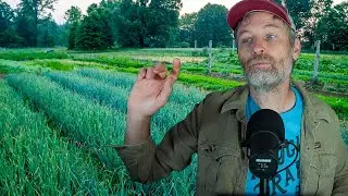How Much Water You Need for a Market Garden + Soil Health on a Budget