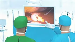 Telestration and Augmented Reality in Minimally Invasive Surgery