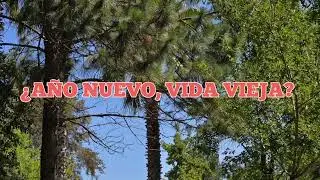 &iquest;A&Ntilde;O NUEVO, VIDA VIEJA? - Hno. Gustavo Valenzuela