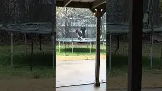 Crazy kids playing in the ice 🤣🤪🥶 #winter #snow #texas