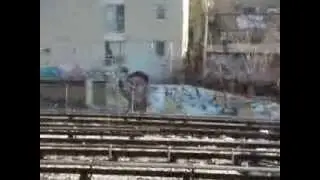Toronto Graff by Keele Station