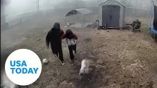 Family rescues dog moments before tornado blows through | USA TODAY