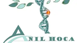 SİNDİRİM SİSTEMİ- BESİNLERİN GERİ EMİLİMİ VE KAN DAMARLARI - LENF DAMARLARI ARASINDAKİ BAĞLANTI…