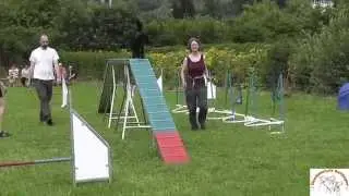 Agility - Funturnier der Hundeschule Dettingen